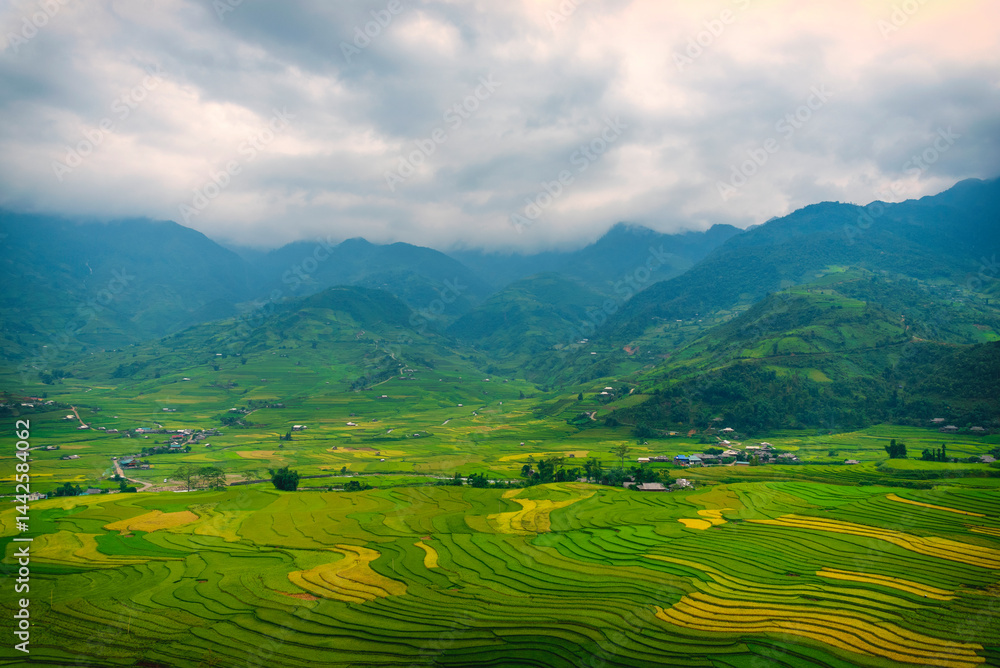 Obraz premium Beautiful Mountain landscape foggy windy mountain range green landscape asian farm. Amazing Landscape mountain green field meadow white cloud blue sky on sunrise. Countryside sunlight heaven scenery