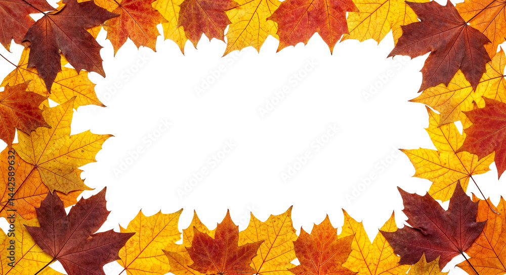 Transparent PNG Autumn Leaves Border Frame with Vivid Fall Colors for Seasonal Design Overlays Transparent PNG Autumn Leaves Border Frame with Vivid Fall Colors for Seasonal Design Overlays