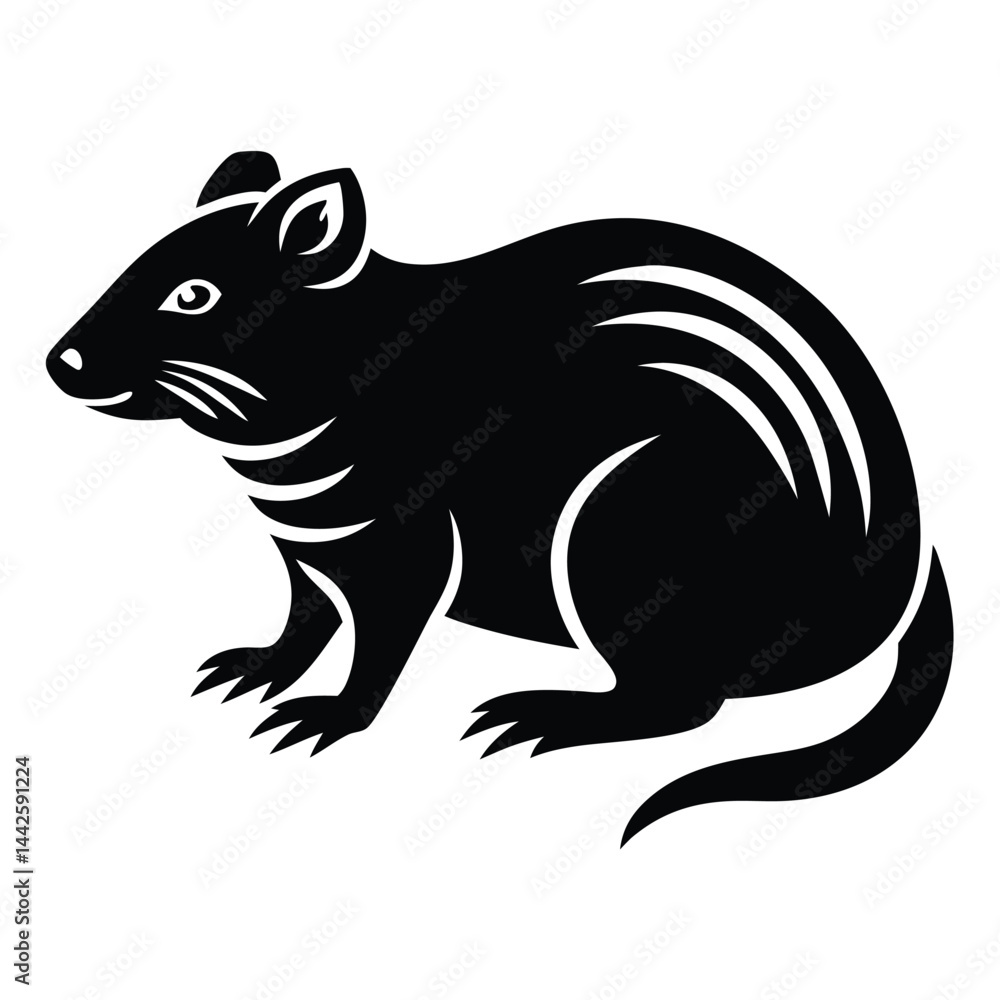 Obraz premium Armadillo Silhouette on white background