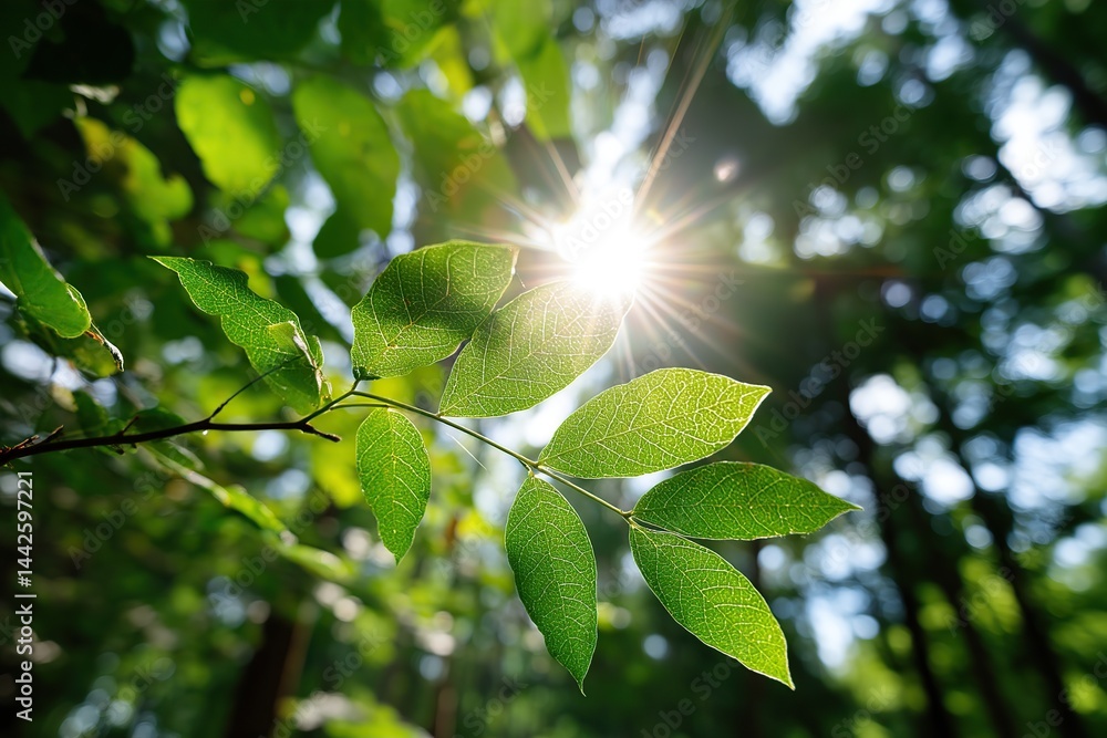 Sunlight streaming through green leaves in a vibrant forest setting