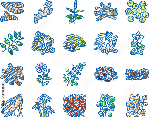ayurvedic herbs medicine health icons hand drawn
