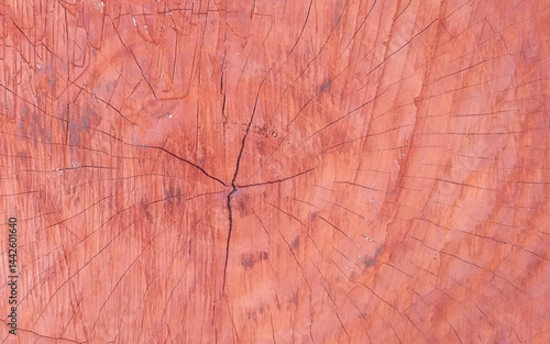Wood plank to use as background and texture. Crack wood background. Vector illustration.