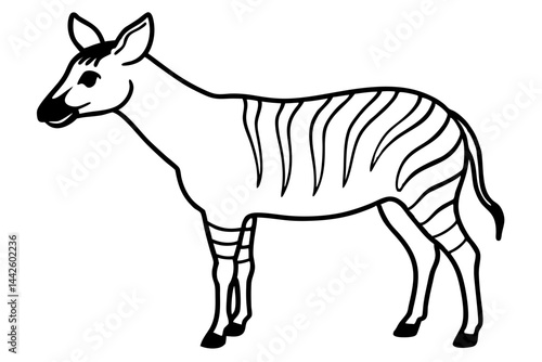 Graceful Okapi