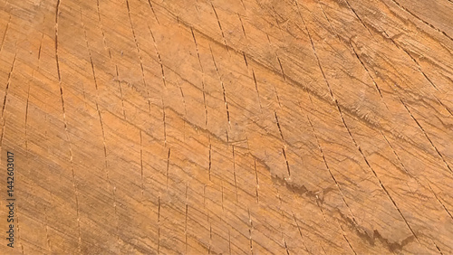 Wood plank to use as background and texture. Vector illustration.