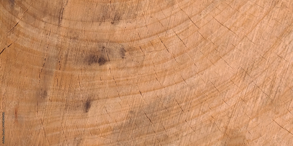 Naklejka premium Wood plank to use as background and texture. Wood texture. Wood texture for design and decoration. Vector illustration.