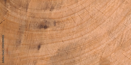 Wood plank to use as background and texture. Wood texture. Wood texture for design and decoration. Vector illustration.