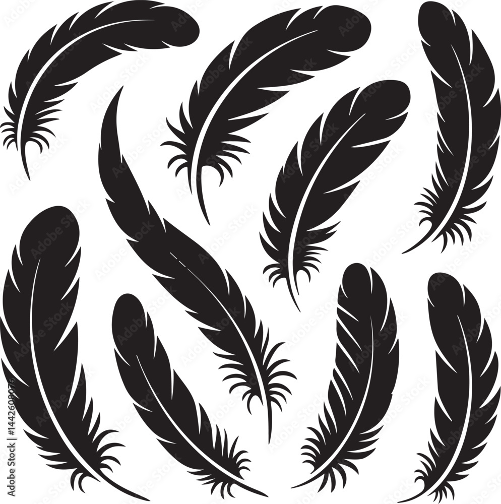 Obraz premium Silhouettes of feathers, long, curved, floating, tribal, stylized, natural, minimalist, vector, clipart 