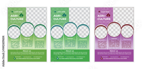 a bundle of 3 templates agriculture flyer design, in blue color, and modern design,marketing,medical proposal, promotion, advertise, publication and editable vector template design.
