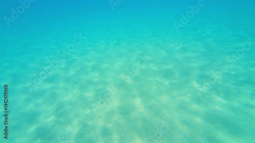 Seabed texture, blue turquoise and white sandy sea floor, water waves reflection, color and light play, top down shot. Summer background concept.