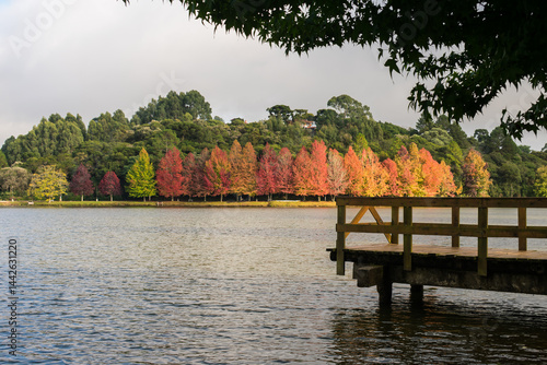 Obraz na płótnie Sao Bernardo Lake in Autumn. Tourist destination in Sao Francisco de Paula, South of Brazil w salonie