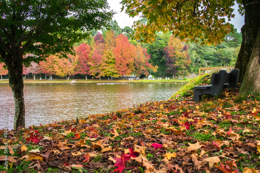 Sao Bernardo Lake in Autumn. Tourist destination in Sao Francisco de Paula, South of Brazil