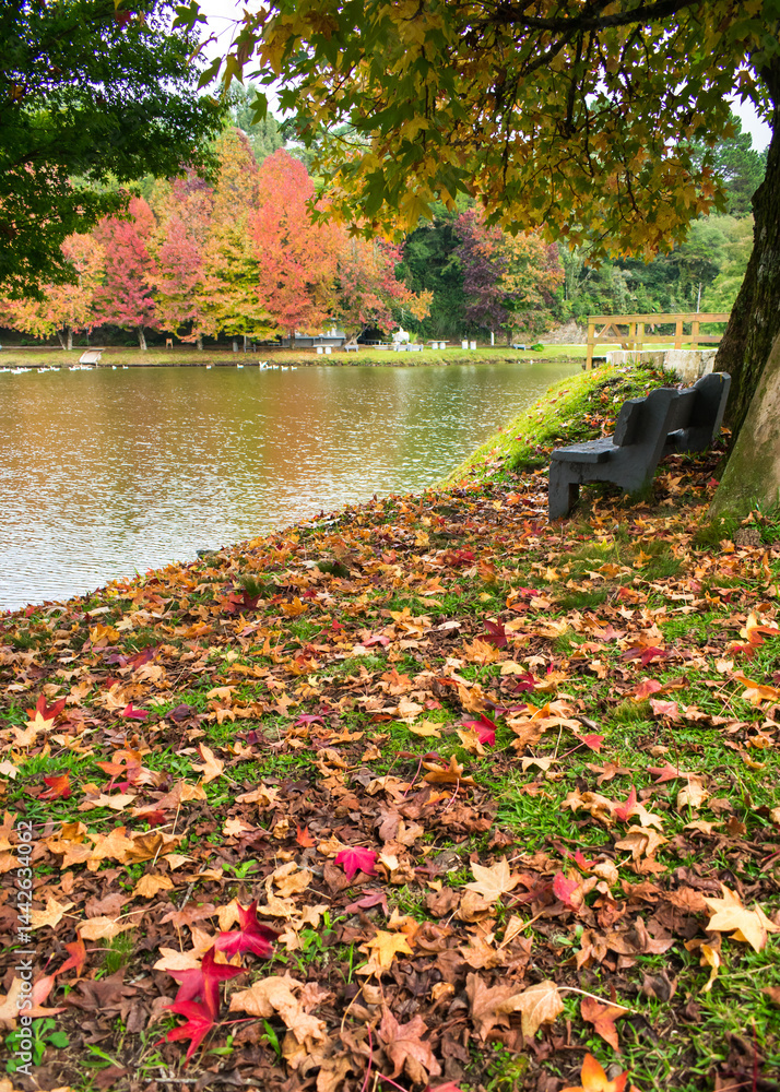 Sao Bernardo Lake in Autumn. Tourist destination in Sao Francisco de Paula, South of Brazil