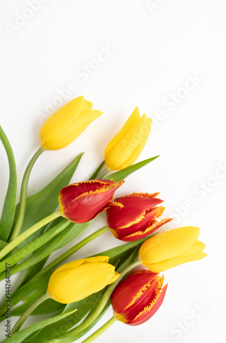 Bouquet of yellow and red fresh tulips isolated on white background