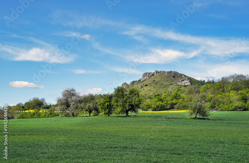 Blick auf das Walberla den Hausberg der Franken