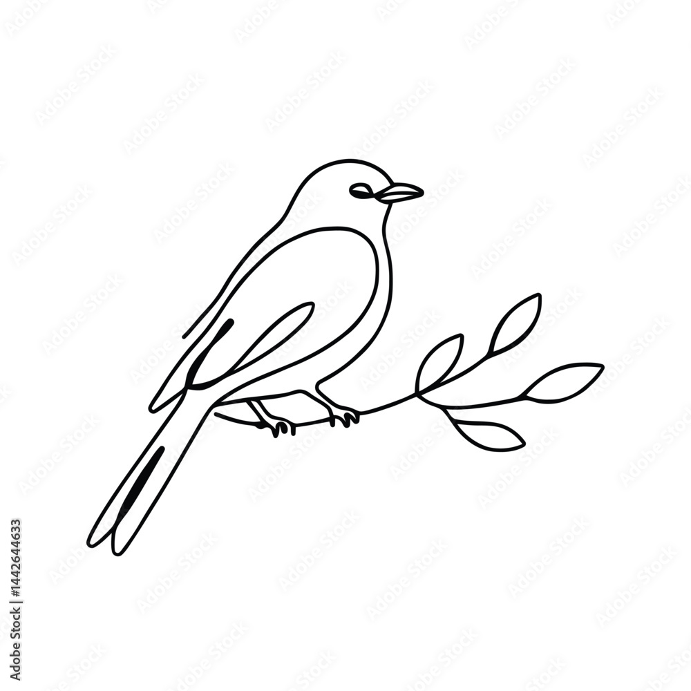 Bird on branch continuous one line drawing. Robin bird. Bird on branch continuous one line drawing. Robin bird.