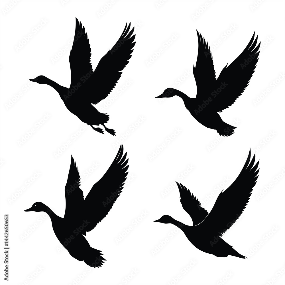 Obraz premium set of vector birds