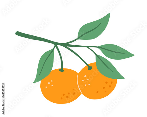 Tangerine with leaves, tree branch, isolated food illustration, abstract fruit art isolated on white