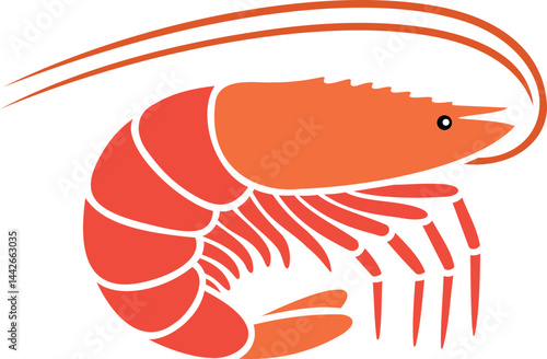 vector illustration of shrimp