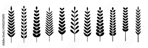 Leaf icons. Leaves of trees and plants. Leaves on white background. Ecology. Vector illustration. Foliate laurels branches.