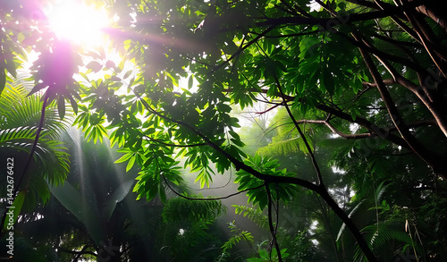 Obraz na płótnie Tropical Rainforest Canopy at Dawn w salonie