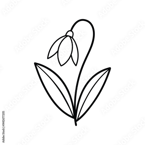 snowdrop flower outline line art icon, vector icon, floral line art