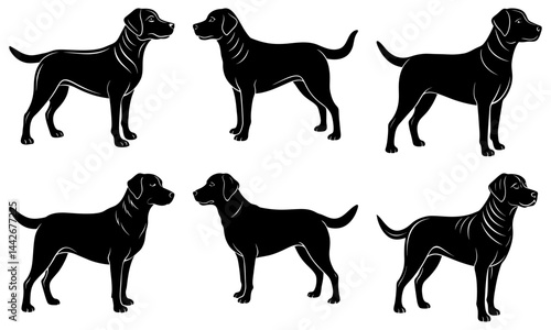Labrador Silhouette vector