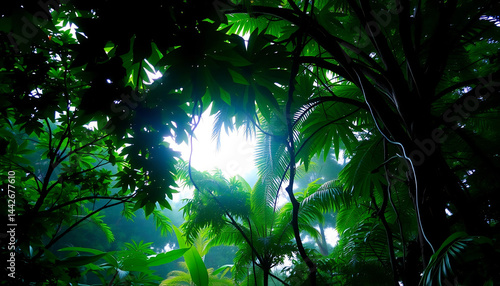 Obraz na płótnie Tropical Rainforest Canopy at Dawn w salonie