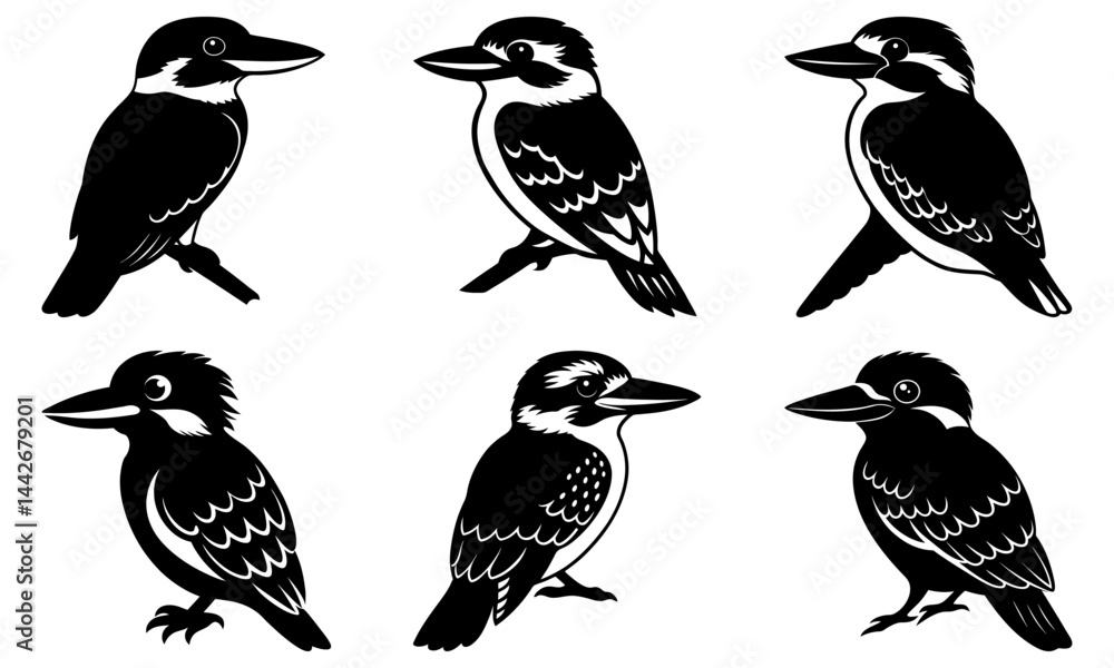 Obraz premium Kookaburra Silhouette vector