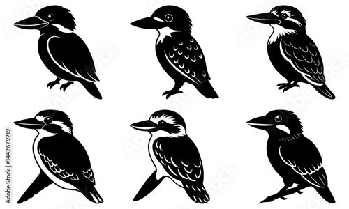 Kookaburra Silhouette vector