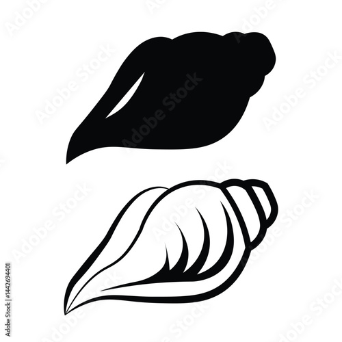 Conch line art and silhouette vector art, illustration of black and white Seashell
