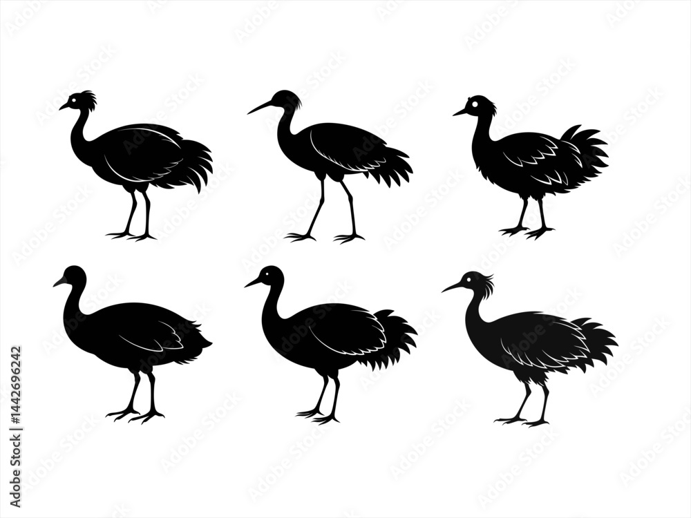 Obraz premium swamphen bird sihouette black vector bundle