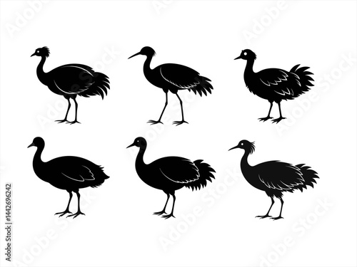 swamphen bird sihouette black vector bundle