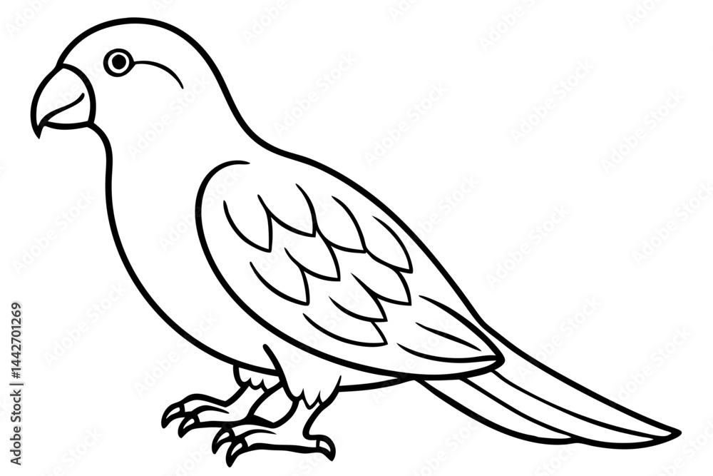 Kestrel Silhouette Sketch Kestrel Silhouette Sketch