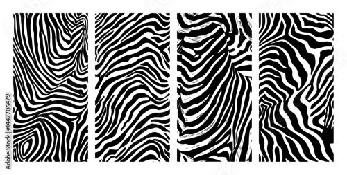 Obraz zebra stripe pattern set black abstract silhouette vector animal skin texture