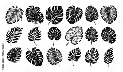 tropical leaves silhouette set black vector for laser cutting and print