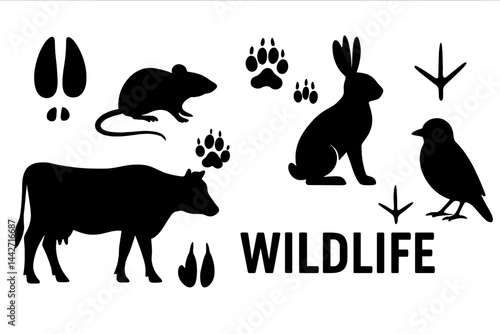 Vector flat illustration showcasing diverse wildlife including mammals, birds, and their footprints