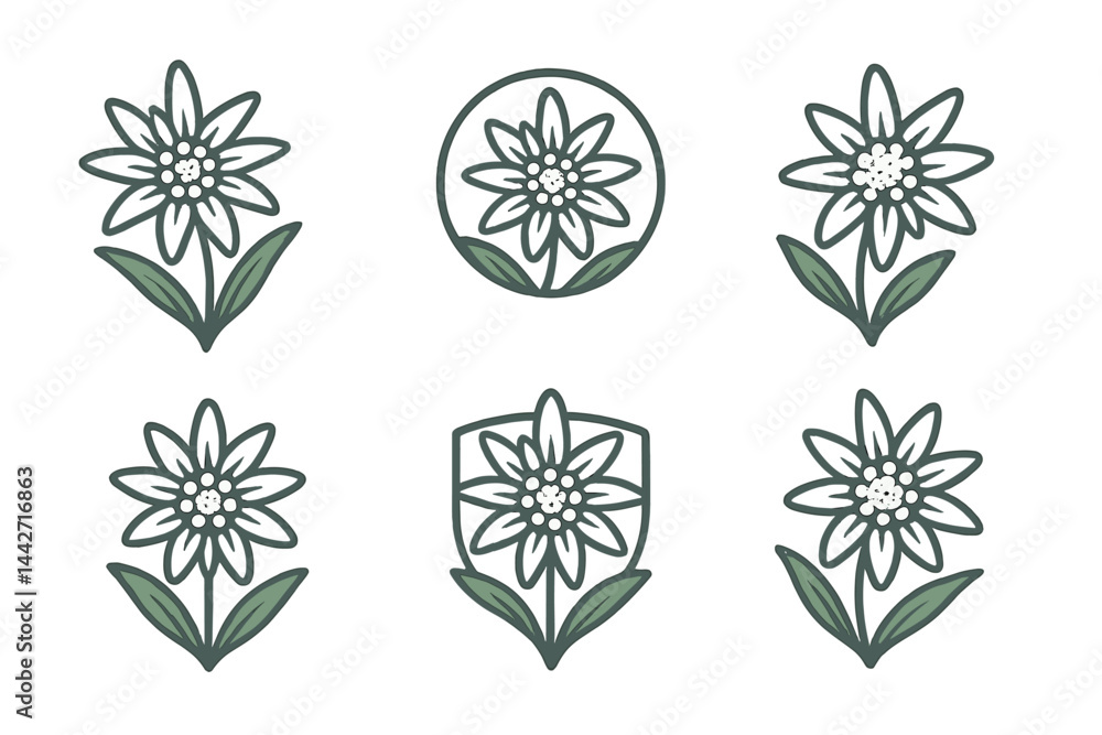 Floral design collection featuring various vector interpretations of a flower with leaves and petals in a minimalist style Floral design collection featuring various vector interpretations of a flower with leaves and petals in a minimalist style