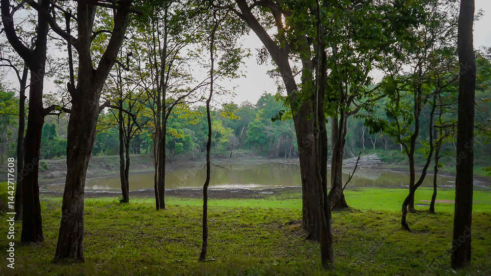 Obraz premium A forest lake reflects surrounding trees, offering peace and shelter to birds, animals, and aquatic life. Mist, stillness, and natural beauty create a magical atmosphere.