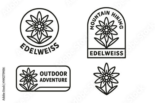 Vector illustration of edelweiss flower designs for mountain hiking and outdoor adventure themes