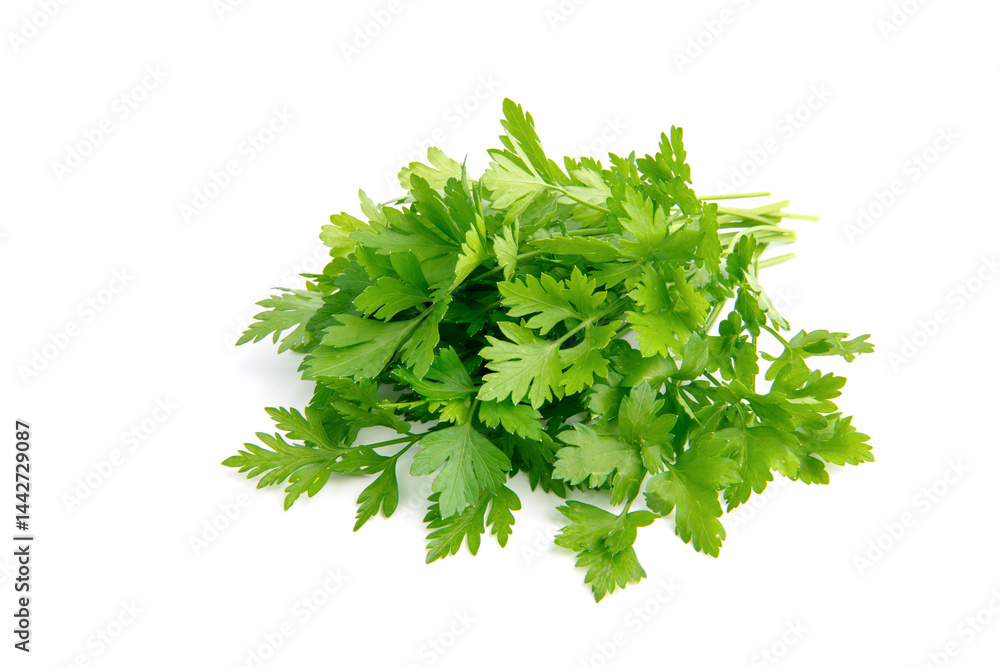 Fresh parsley leaves on white background Fresh parsley leaves on white background