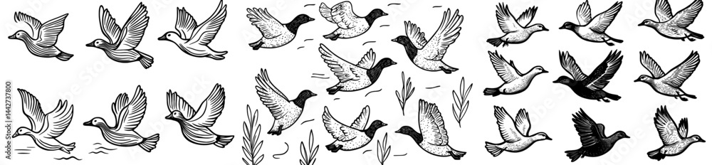 Fototapeta premium A compilation of bird outlines in diverse flight positions, perfect for nature, wildlife, or bird-themed designs
