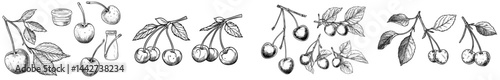 A compilation of dark silhouette artwork featuring cherries accompanied by leaves, highlighting diverse compositions and patterns ideal for graphical applications