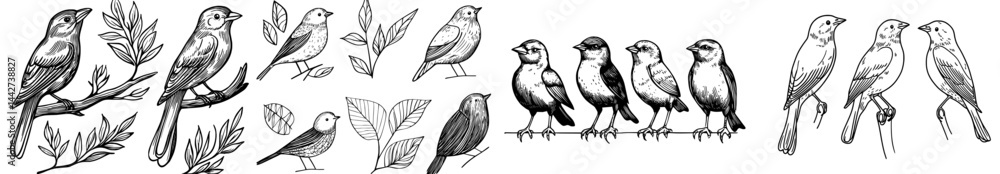 A collection of bird silhouettes showcasing different poses on a white background A collection of bird silhouettes showcasing different poses on a white background