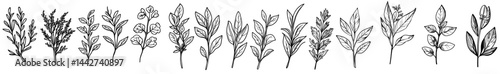 Retro woodcut engraved farm food icons of black stamp vegetables, featuring organic and healthy products such as tomato, onion, garlic, celery, and pepper, in a modern vegetable sketch collection