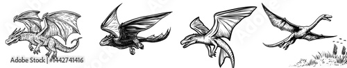 A dark dragon silhouette with outstretched wings represents fantasy and power
