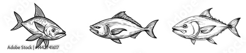 Illustration of a tuna fish in black and white silhouette design