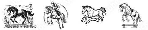 The dark shape of a leaping horse highlights its movement and elegance