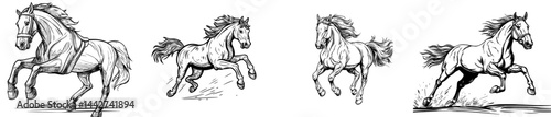 A horse in mid-jump is outlined, its mane and tail flowing freely