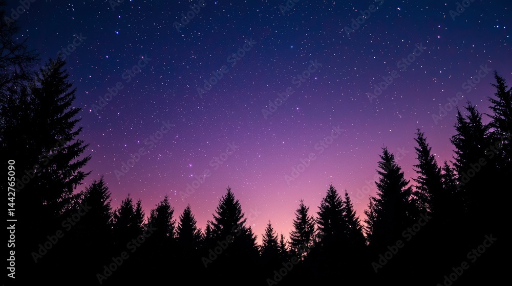 Fototapeta premium Silhouetted trees, starry night sky