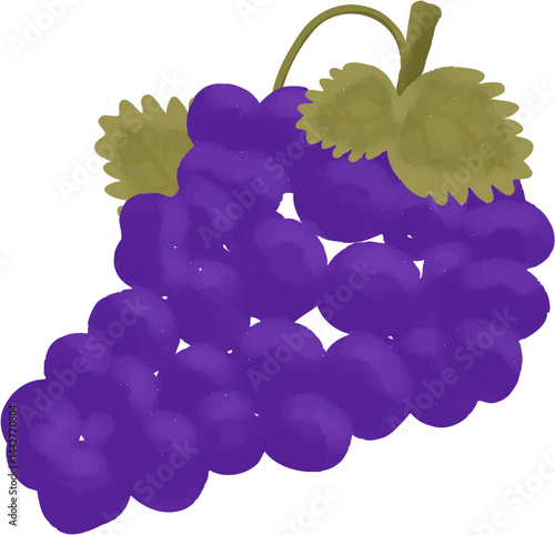 Grape illustration. Fruit. Healthy food, Farmer's market